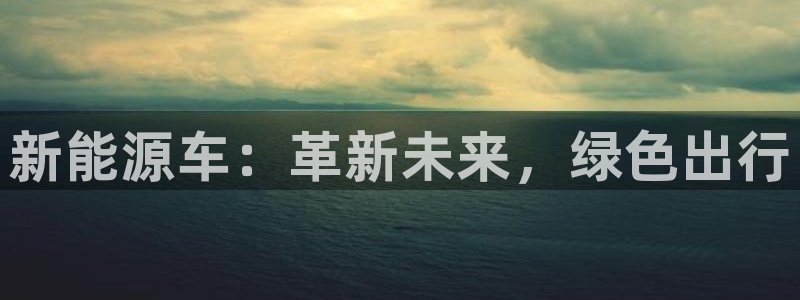 新宝GG专业团队