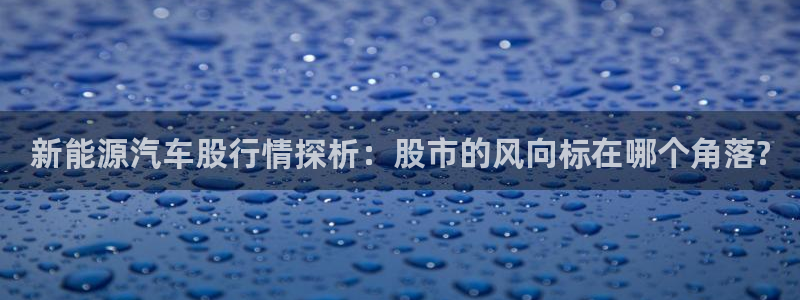 新宝gg登录链接