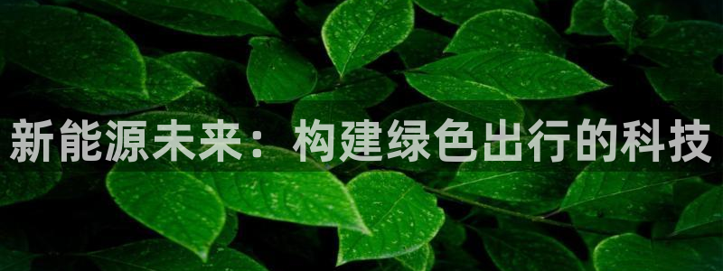 新宝gg联系