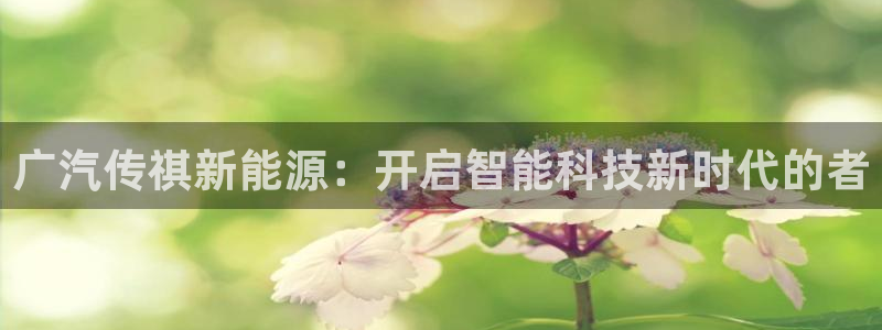 新宝gg娱乐盟主