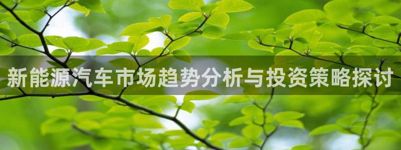 新宝gg一创造奇迹
