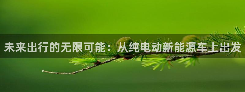 新宝gg登录网址：未来出行的无限可能：从