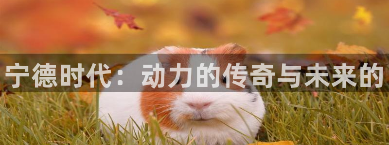 新宝gg开奖：宁德时代：动力的传奇与未来