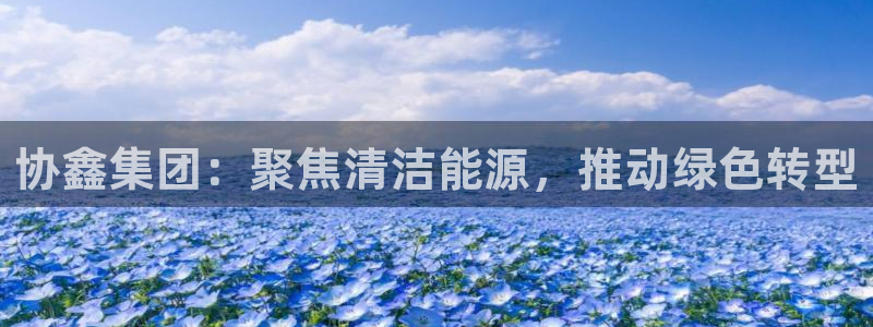 注册新宝gg：协鑫集团：聚焦清洁能源，推