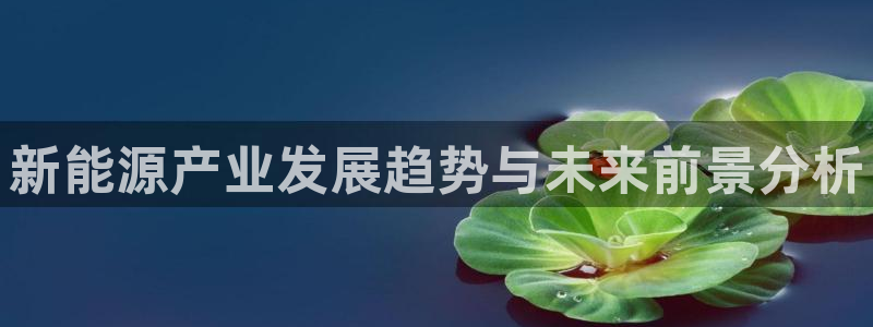 新宝gg开奖