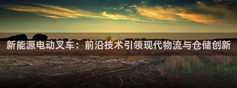 新宝gg怎么样