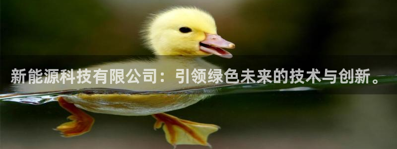 新宝gg评论