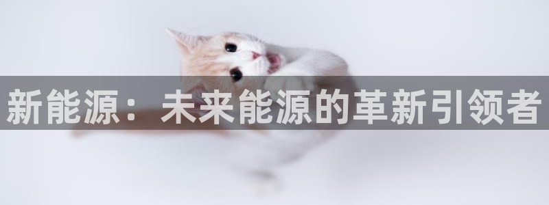新宝GG主管41333