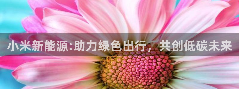 创造奇迹新宝gg