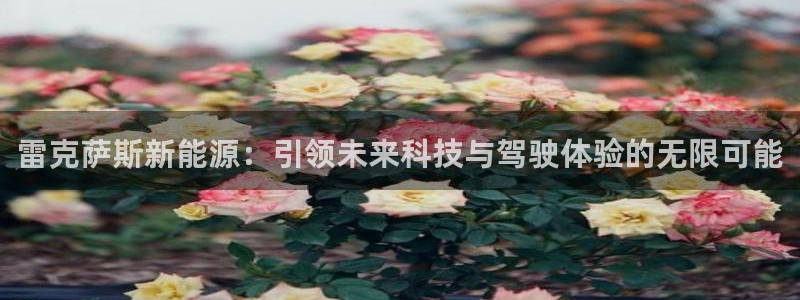 新宝gg体彩
