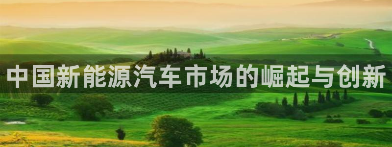 新宝gg创造奇迹 新宝gg：中国新能源汽