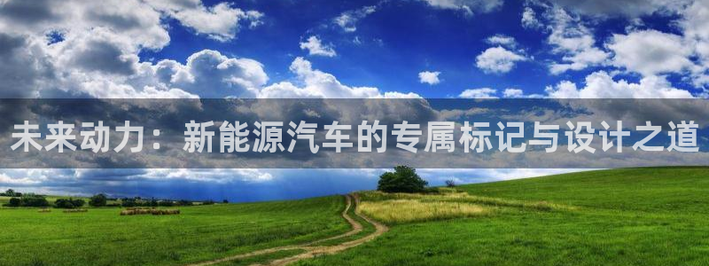 新宝gg 平台怎么样：未来动力：新能源汽