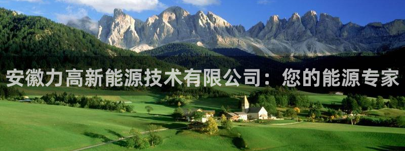 新宝gg注册jhjinde：安徽力高新能