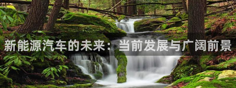 新宝GG上级