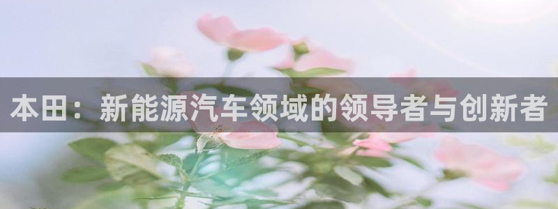 新宝给gg