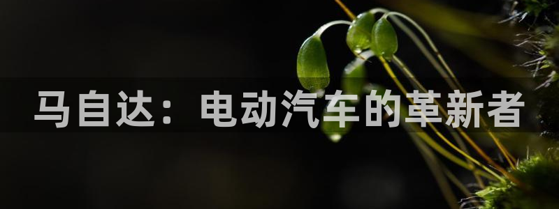 新宝gg娱乐vovq