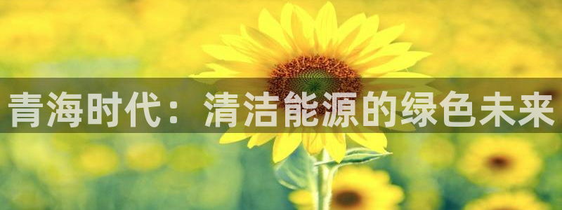 新宝gg--创