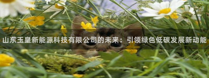 新宝GG管理
