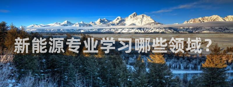 新宝 gg .com