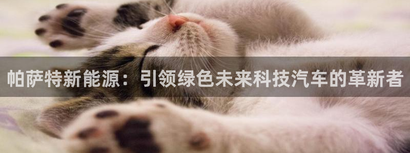 新宝gg 奇迹：帕萨特新能源：引领绿色未