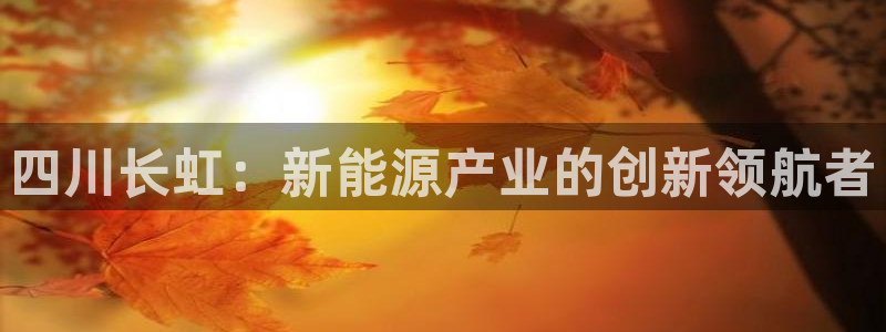 vip新宝gg：四川长虹：新能源产业的创