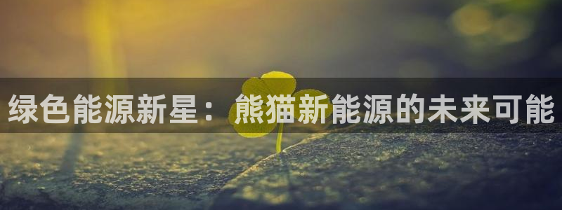 新宝gg黑平台：绿色能源新星：熊猫新能源