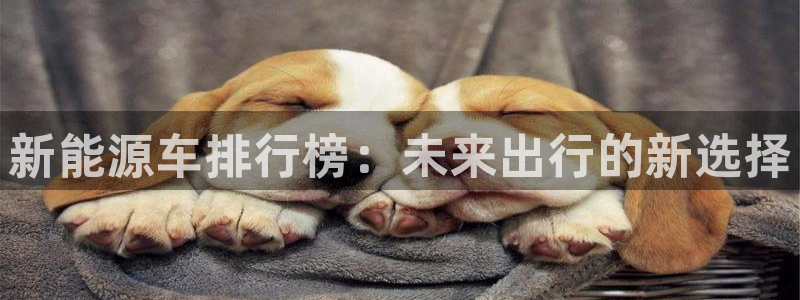 新宝gg登录线路测试：新能源车排行榜：未