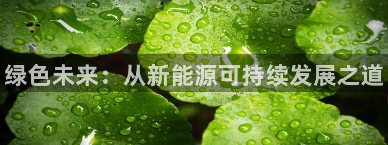 新宝gg游戏平台