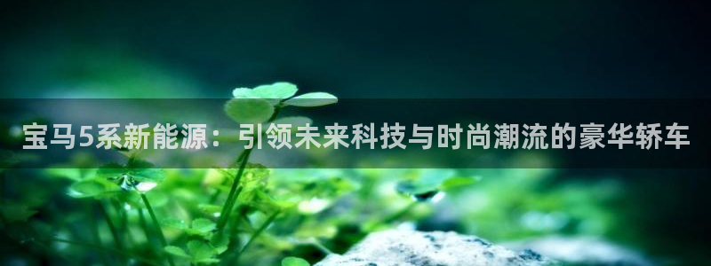 新宝gg娱乐主管q42873