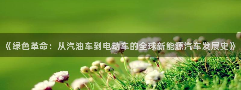 新宝gg主管、