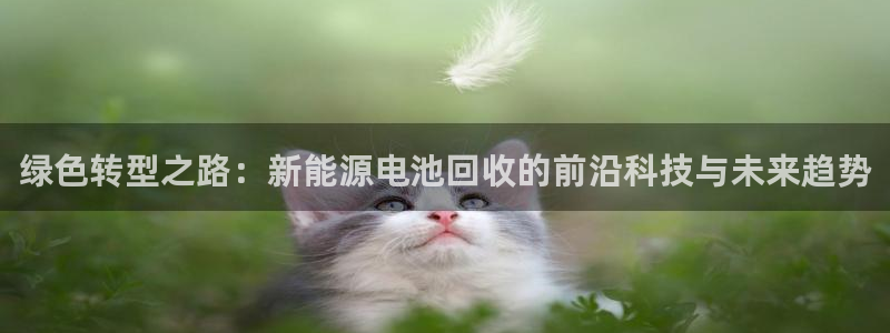 新宝_gg：绿色转型之路：新能源电池回收