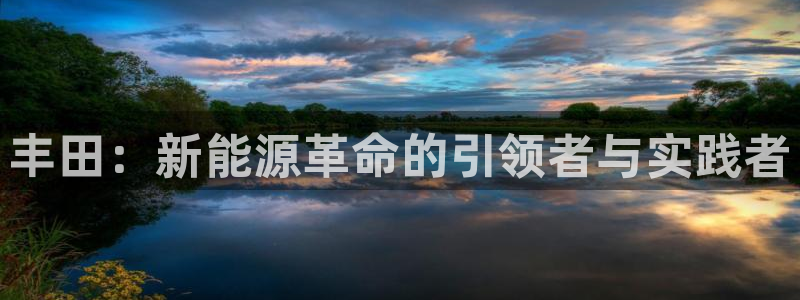 新宝GG湫33 300：丰田：新能源革命