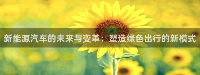 新宝gg联系：新能源汽车的未来与变革：塑