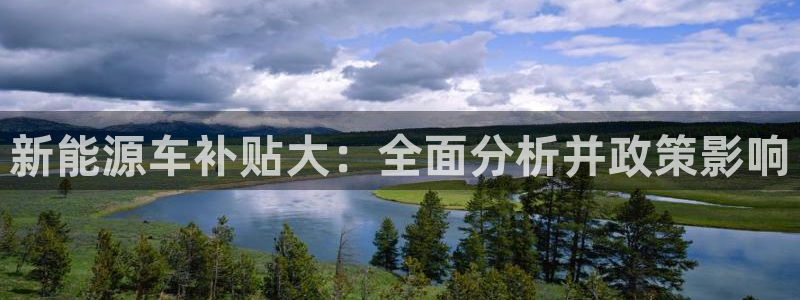 c新宝GG：新能源车补贴大：全面分析并政
