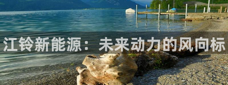 新宝gg主管_:江铃新能源:未来动力的风向标