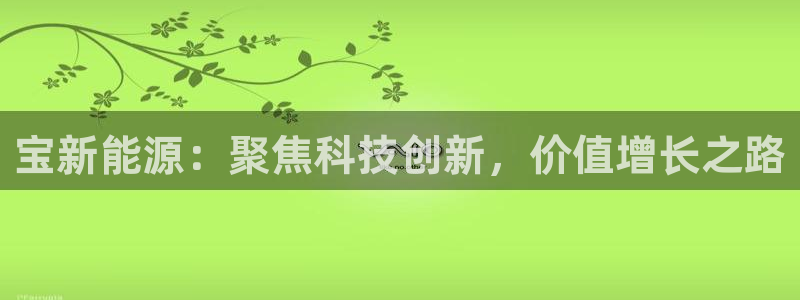新宝GG登录③:宝新能源:聚焦科技创新,价值增长之路
