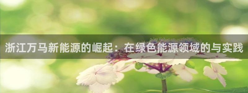 新宝gg招商:浙江万马新能源的崛起:在绿色能源领域的与实践