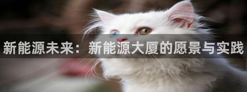 新宝gg运营88383:新能源未来:新能源大厦的愿景与实践