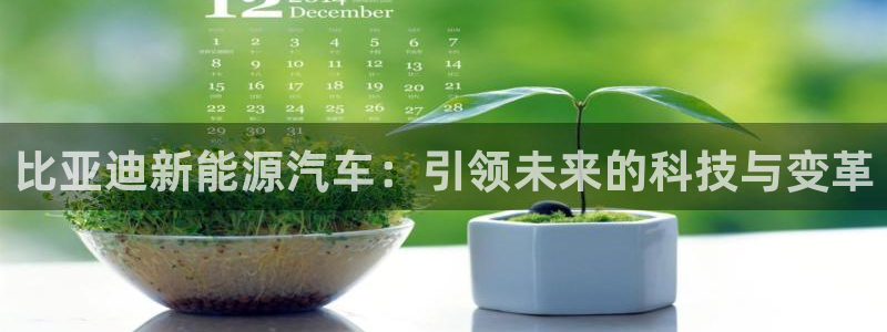 新宝GG管理:比亚迪新能源汽车:引领未来的科技与变革