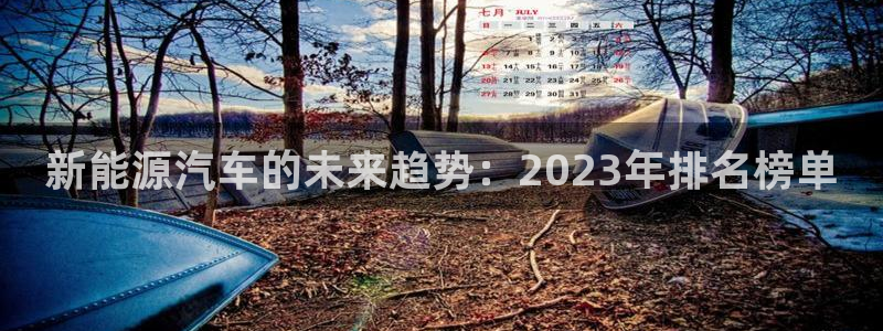 新宝gg开奖结果可信吗:新能源汽车的未来趋势:2023年排名