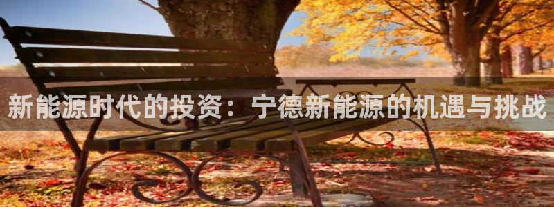 66新宝gg:新能源时代的投资:宁德新能源的机遇与挑战