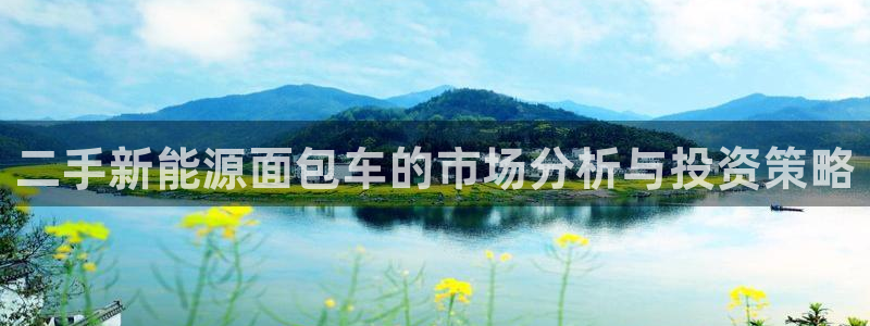 新宝GG握78778:二手新能源面包车的市场分析与投资策略