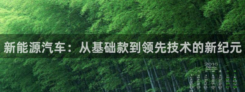 新宝gg登录注册:新能源汽车:从基础款到领先技术的新纪元