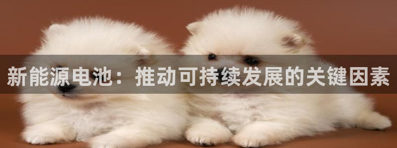 新宝gg群:新能源电池:推动可持续发展的关键因素