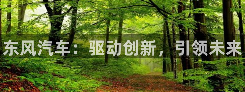 新宝gg怎样:东风汽车:驱动创新,引领未来