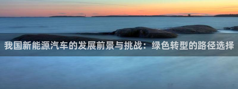 新宝gg 1980:我国新能源汽车的发展前景与挑战:绿色转型