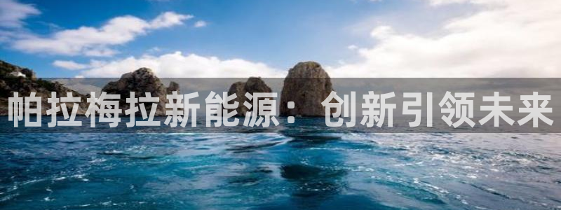 新宝gg5:帕拉梅拉新能源:创新引领未来