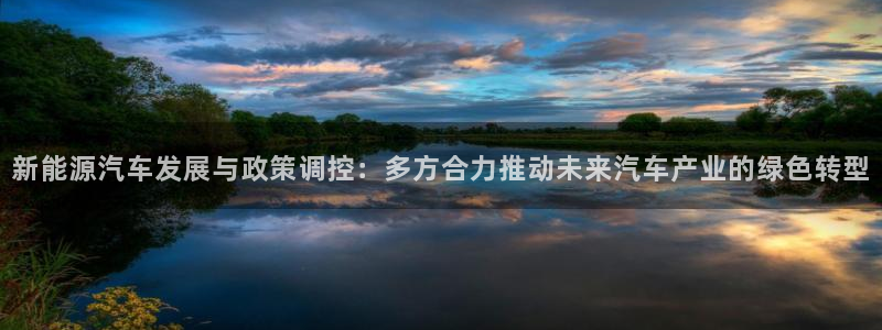 新宝gg娱乐:新能源汽车发展与政策调控:多方合力推动未来汽车