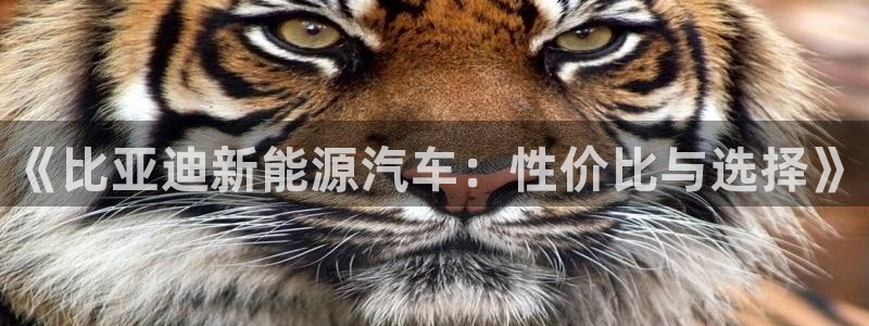 新宝gg客服:《比亚迪新能源汽车:性价比与选择》