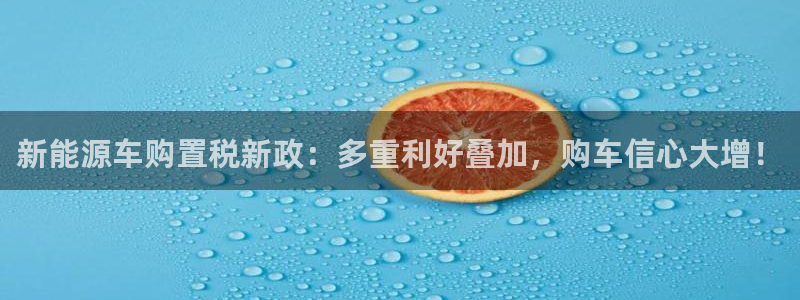 新宝gg主管 9：新能源车购置税新政：多
